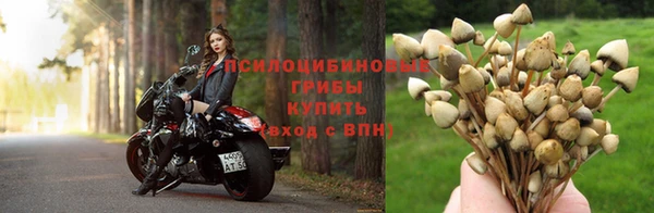 твердый Богородск