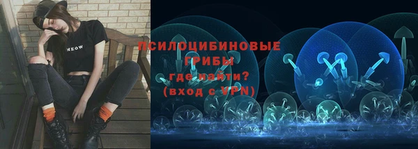 твердый Богородск