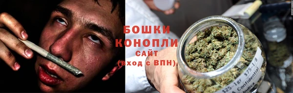 твердый Богородск