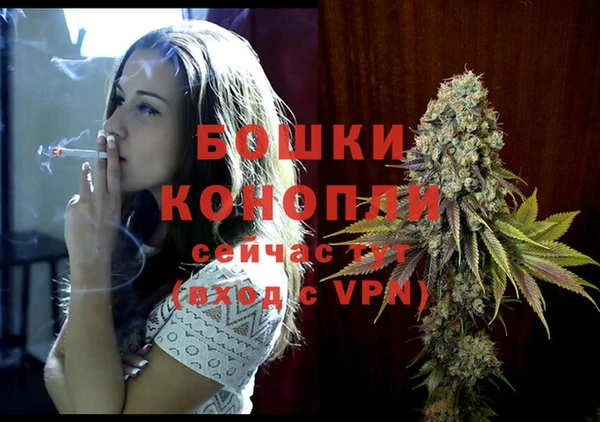 молекула духа Сатка