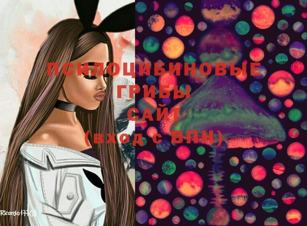 spice Богданович