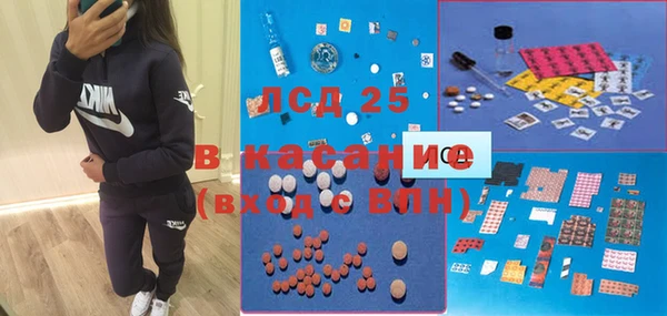 spice Богданович