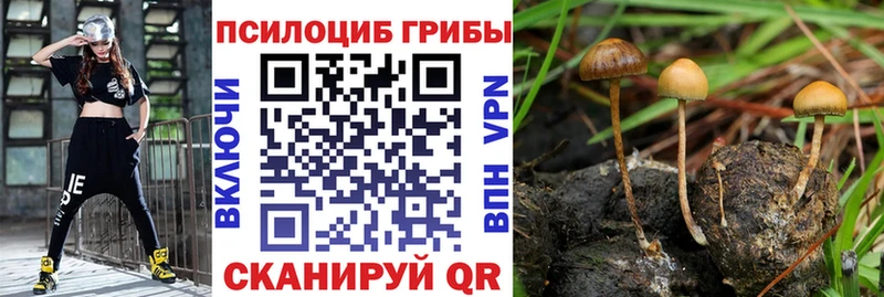 omg онион  Оха  Галлюциногенные грибы мухоморы 